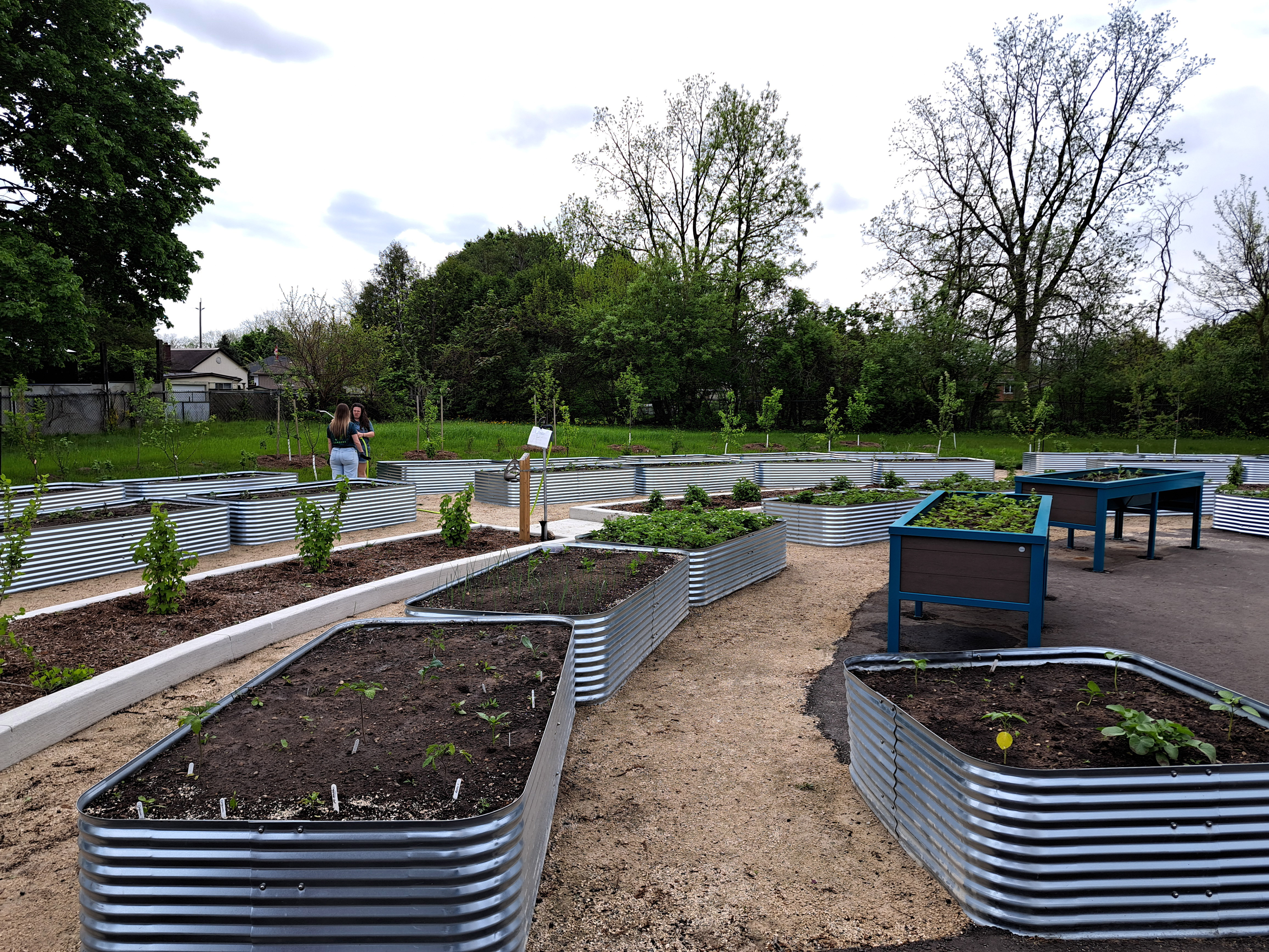 Outdoor raised garden beds
