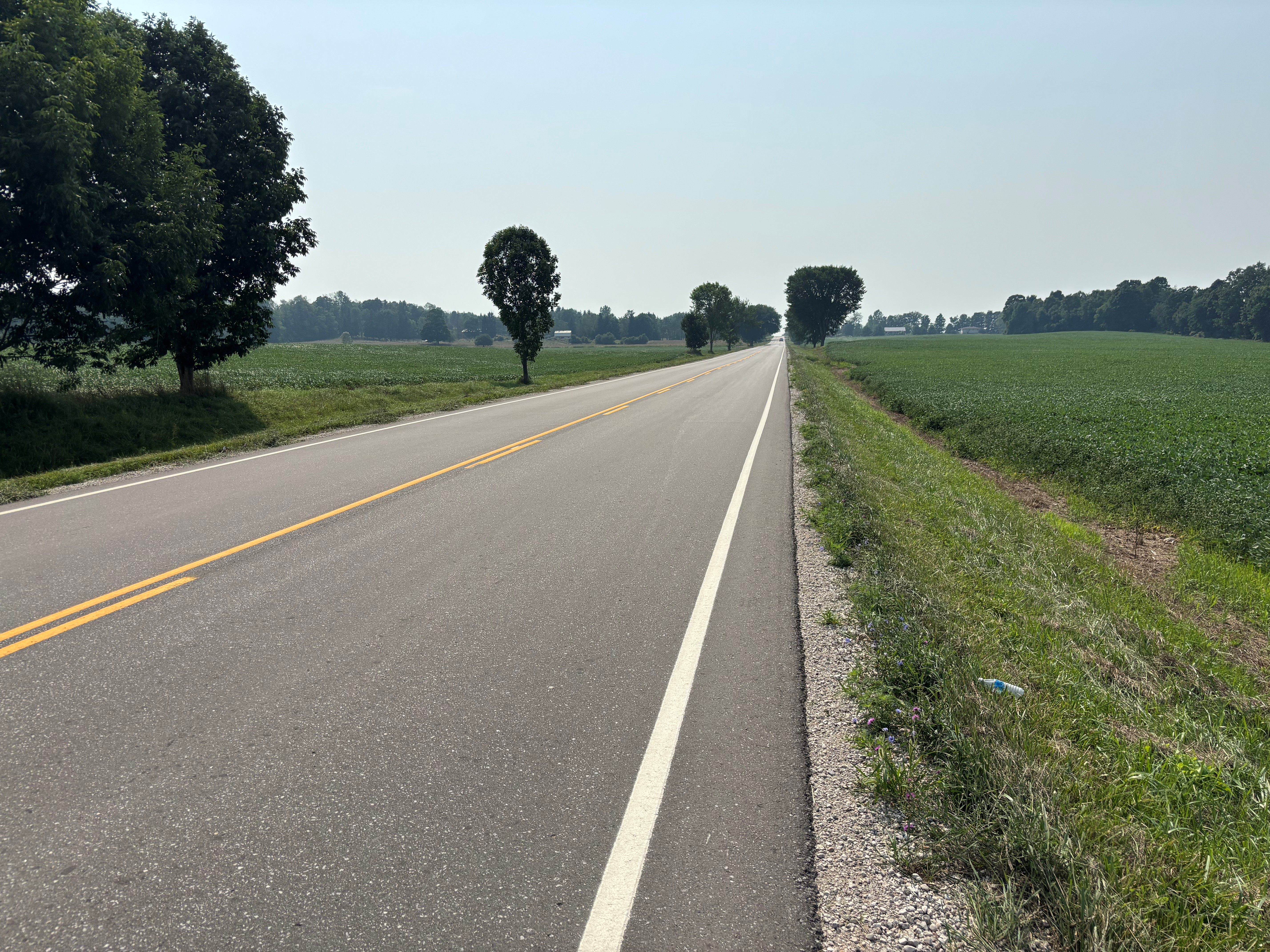 An empty road surrounded by trees