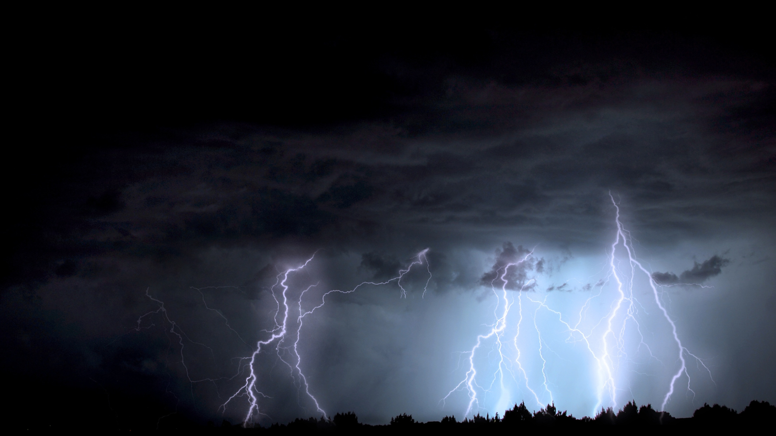 Lightning striking amongst trees during a thunder storm.