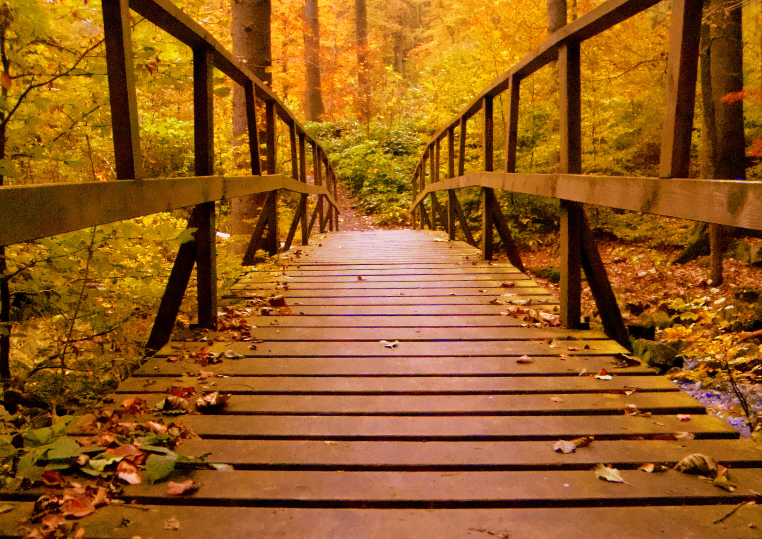 A bridge in the fall. 