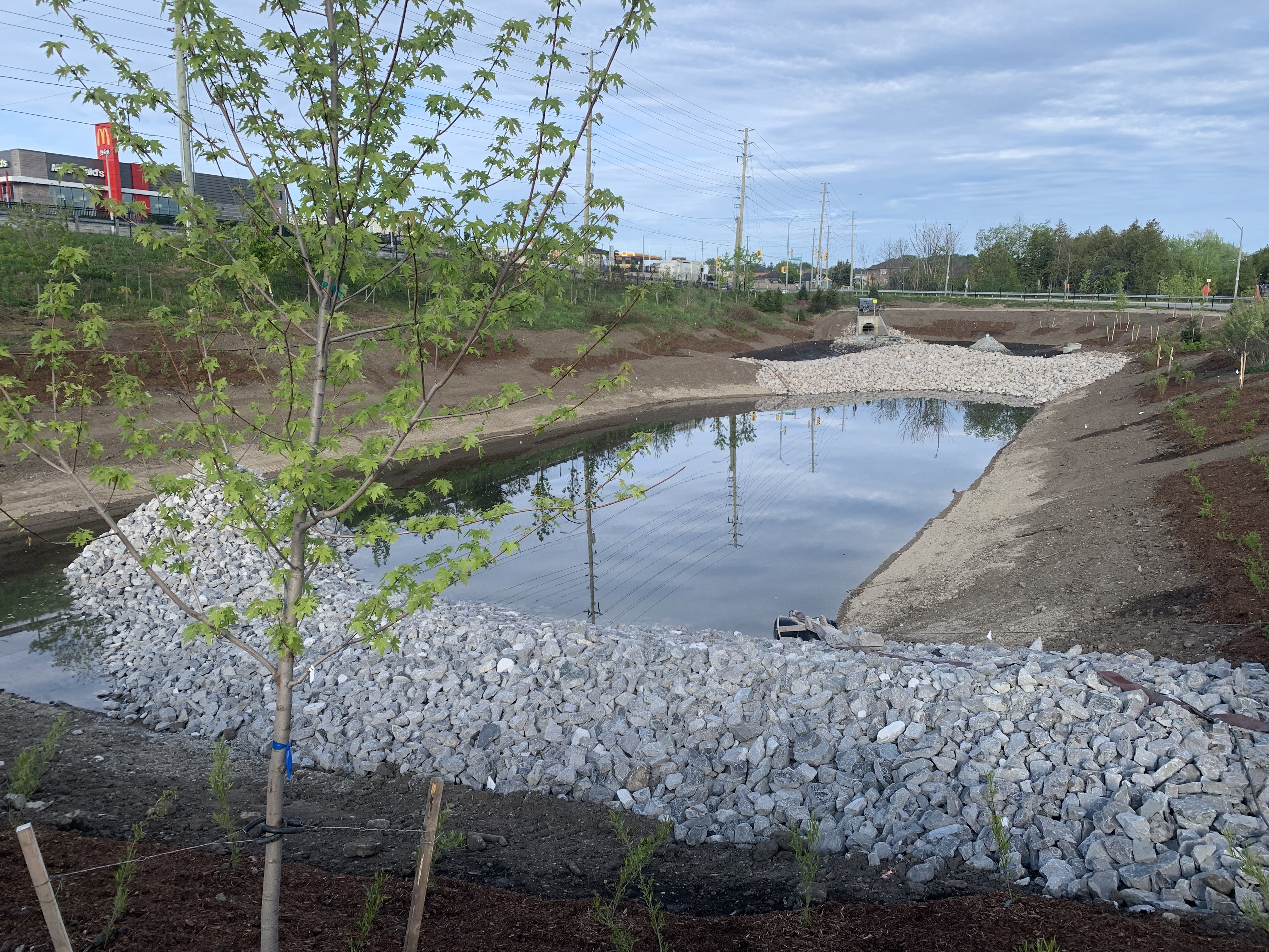 A newly rehabilitated stormwater pond in the City of Barrie.