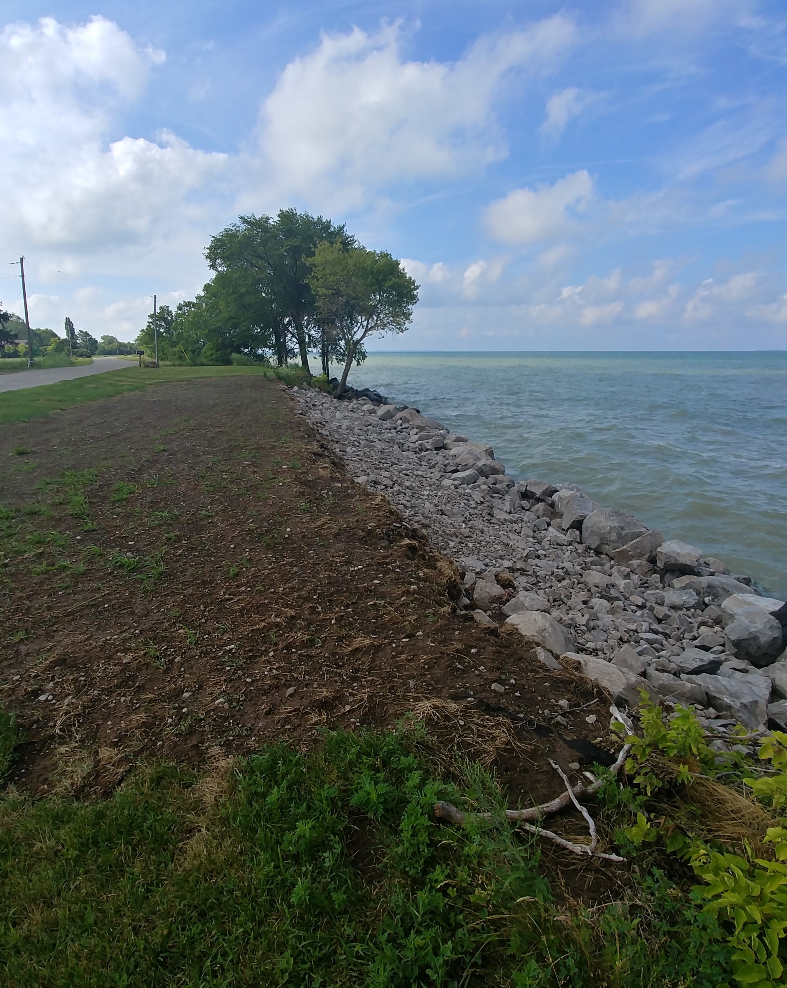 A photo along the shoreline of the Township of Pelee.
