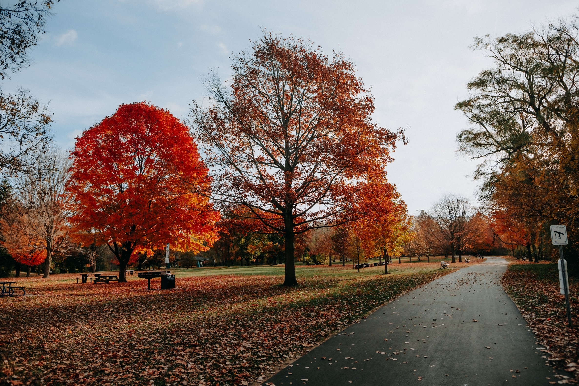 London trail in autumn