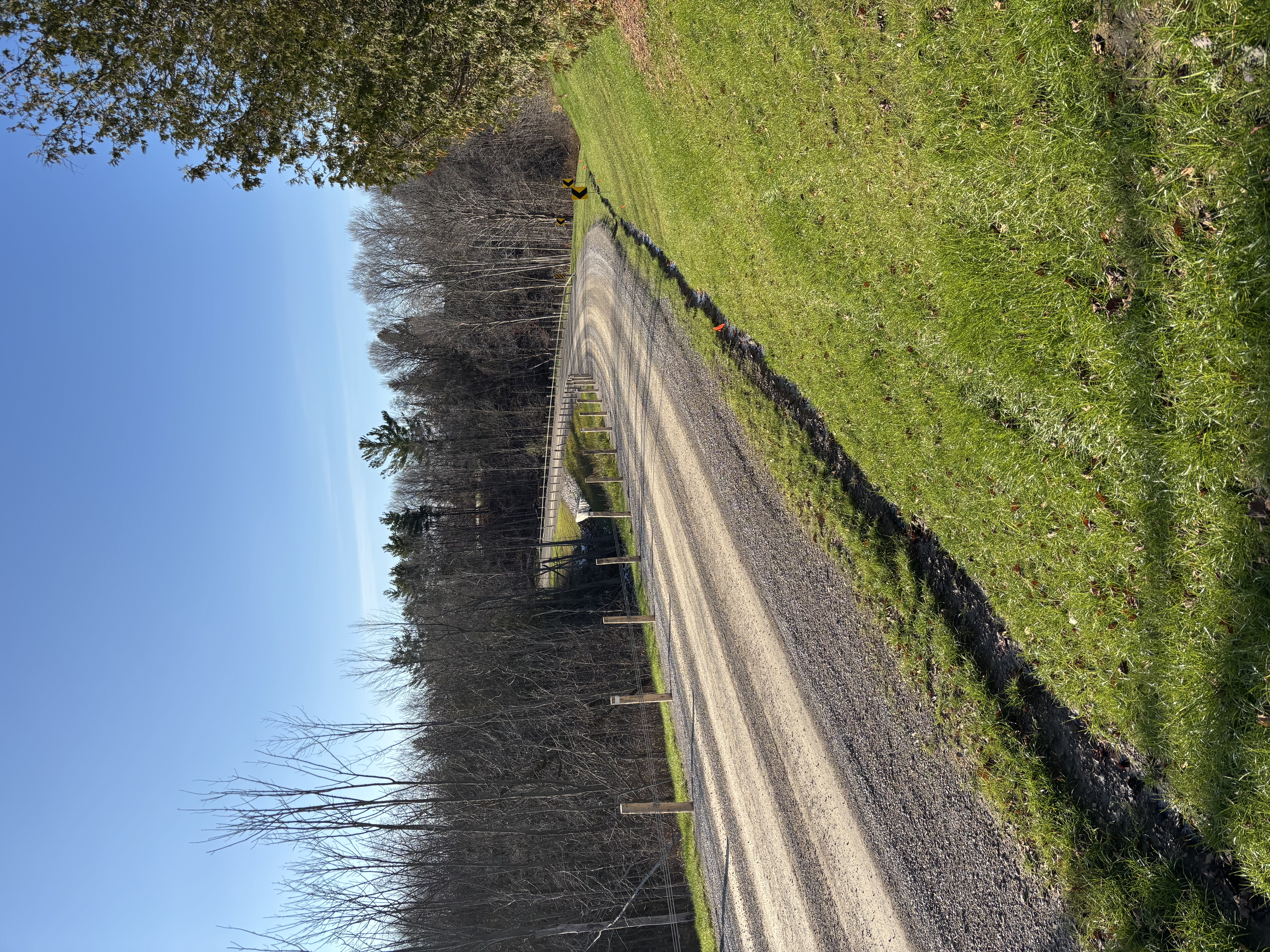 A recently renewed country road 