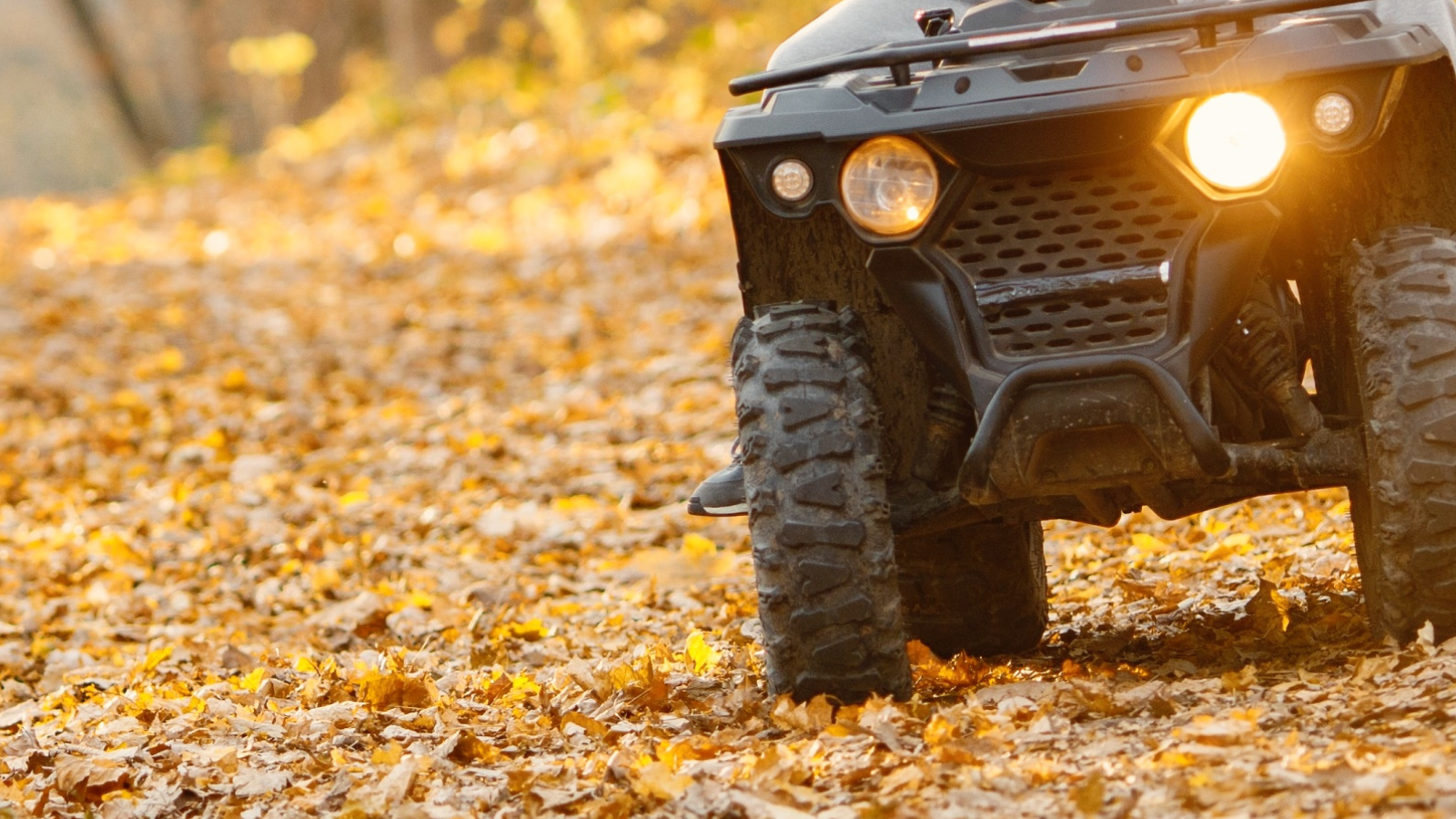 An ATVer on a trail.