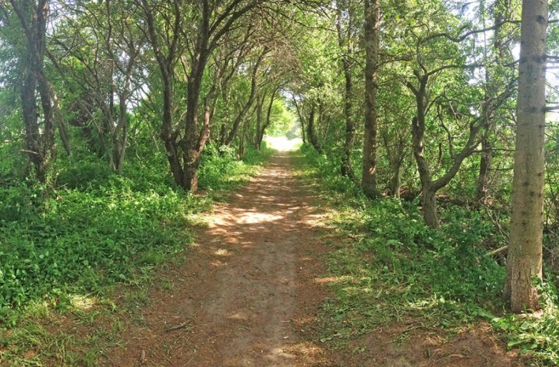 One of eight outdoor trails in Woodstock.