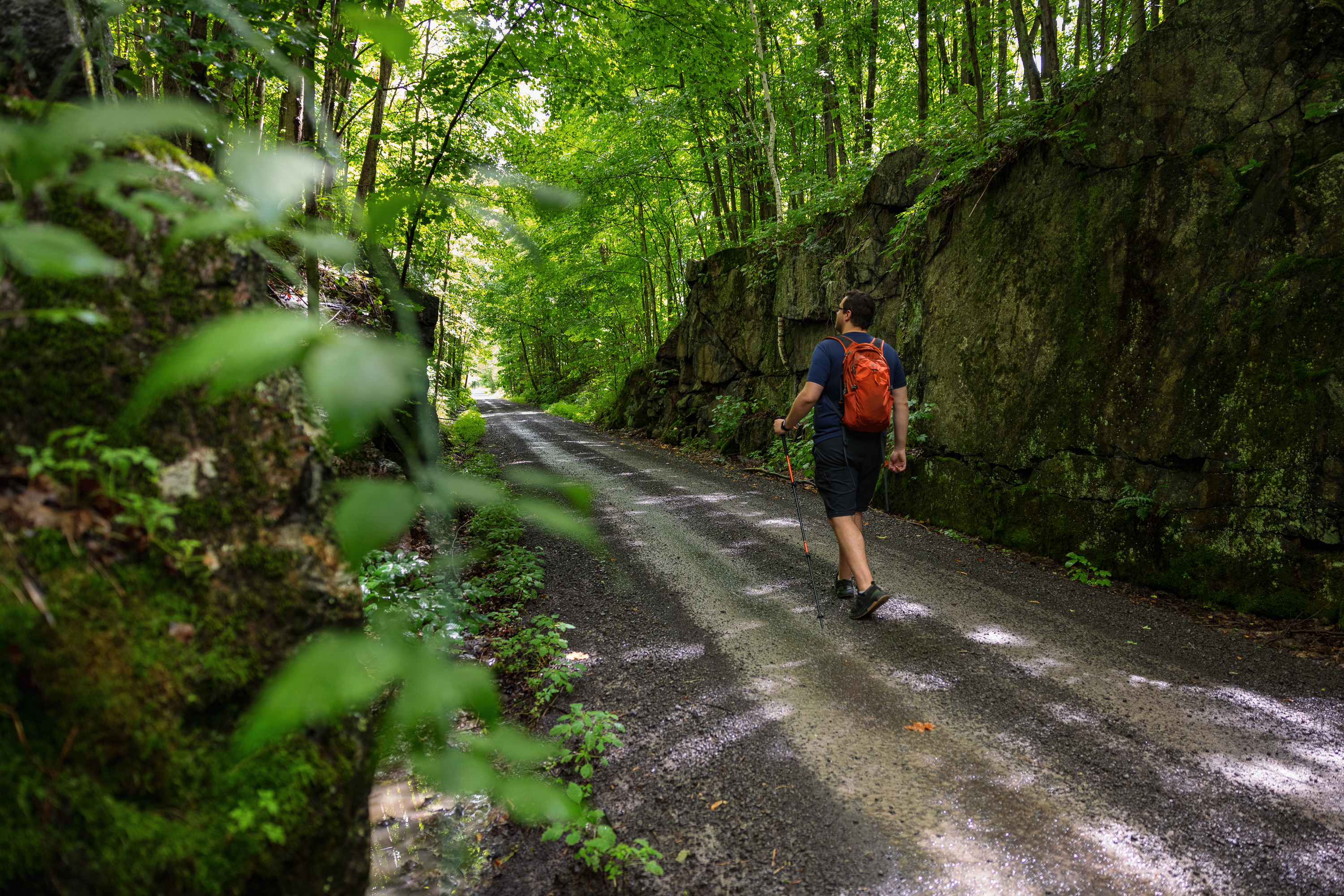 a person walking on a trail
