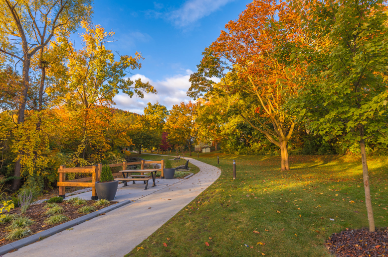 A path through a park with trees and a picnic bench