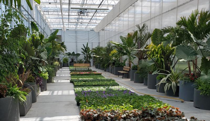 Image of a room in the greenhouse, with trees and foliage filling most of the view.