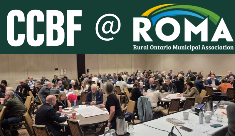 ROMA 2026 session crowd