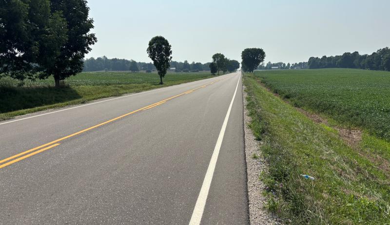 An empty road surrounded by trees