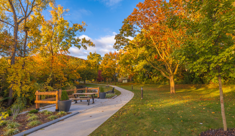 A path through a park with trees and a picnic table