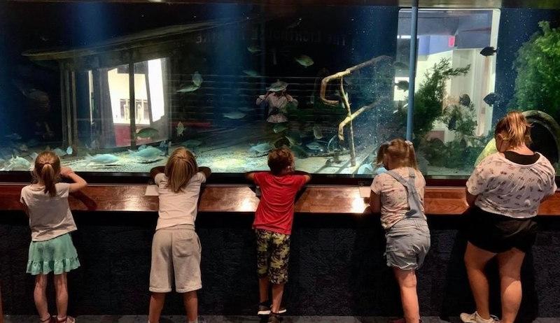 Children at aquarium 