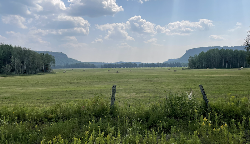 Scenery along Sturgeon Bay Road in the Municipality of Neebing.