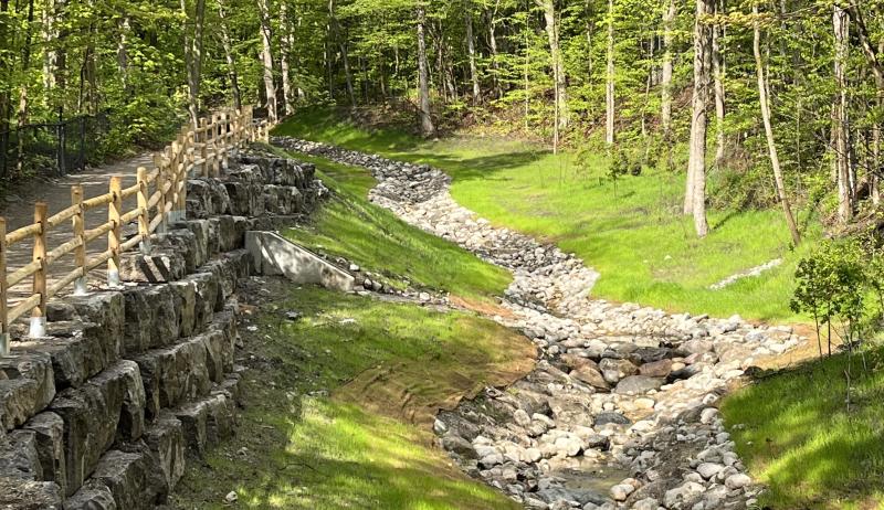 Grassy stream bed